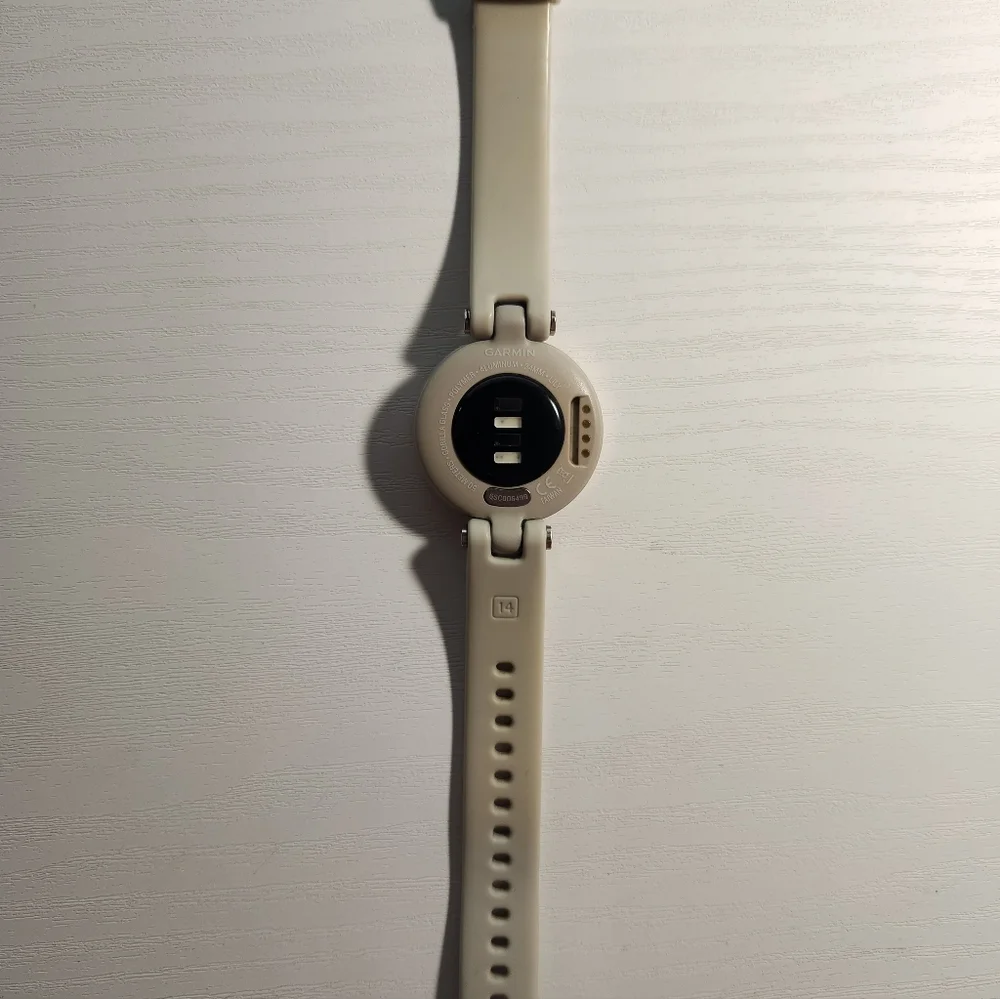 Garmin Lily Smartwatch